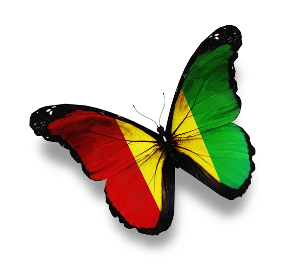 ギニアの旗蝶、白で隔離されます。 — ストック写真