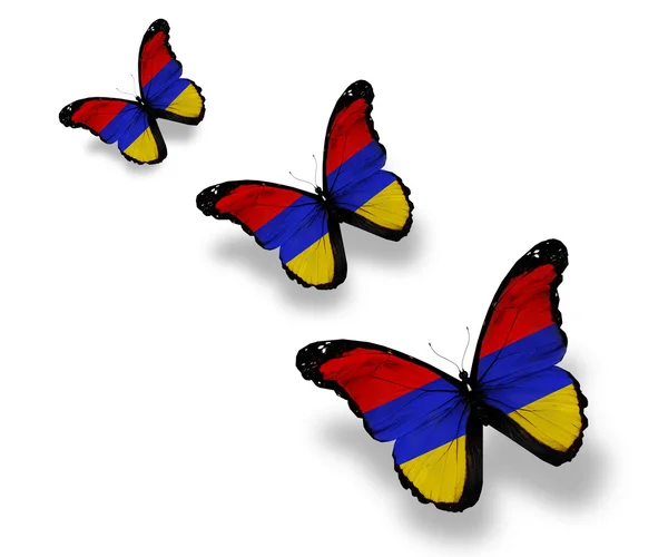 Three Armenian flag butterflies, isolated on white — Stock Photo, Image
