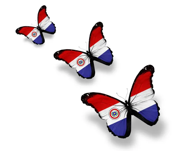 Trzy motyle Flaga Paragwaju, na białym tle — Zdjęcie stockowe