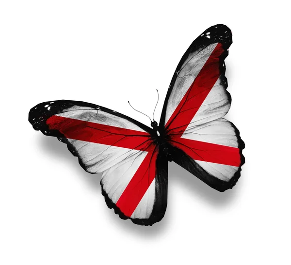 Papillon drapeau de l'Alabama, isolé sur blanc — Photo