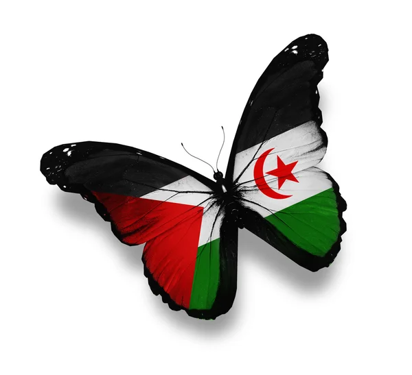 Sahrawi Arab Democratic Republic flag butterfly, isolated on whi — Stock Photo, Image
