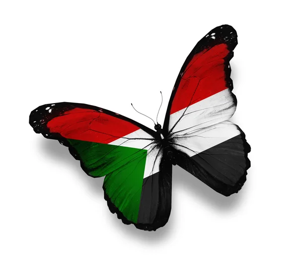 Sudanesische Flagge Schmetterling, isoliert auf weiß — Stockfoto