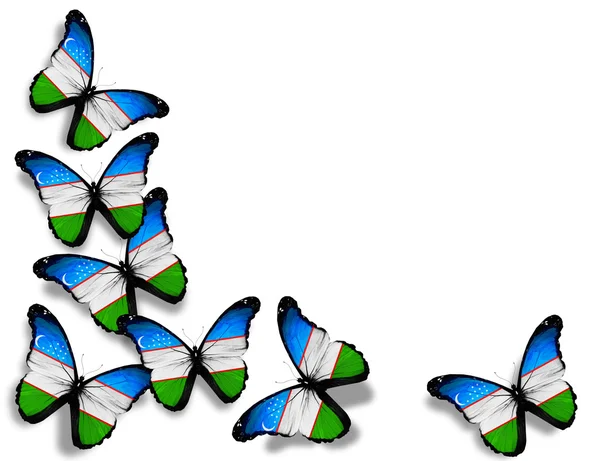 Uzbekiska flagga fjärilar, isolerad på vit bakgrund — Stockfoto