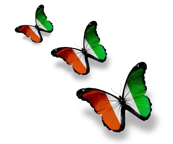 Tre farfalle bandiera Costa d'Avorio, isolate su bianco — Foto Stock
