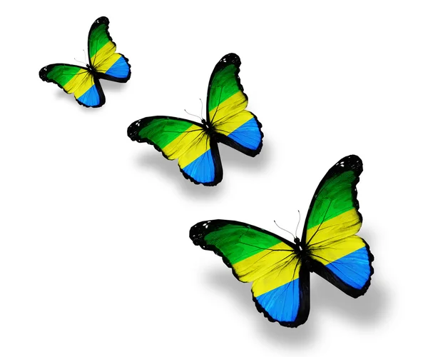 Three Gabonese flag butterflies, isolated on white — Stock Photo, Image