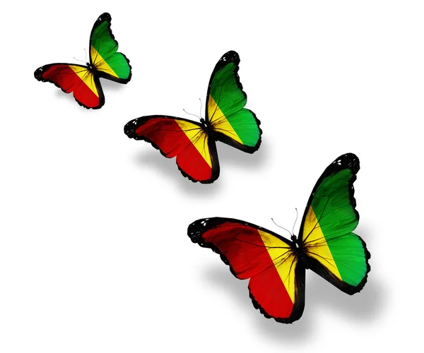 Три бабочки с гвинейским флагом, изолированные на белом — стоковое фото