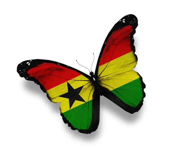 Ghana flag butterfly, isolated on white — Stock Photo, Image