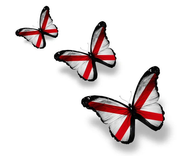 Three Alabama flag butterflies, isolated on white — Stock Photo, Image