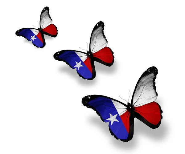 Tre farfalle bandiera texana, isolate su bianco — Foto Stock
