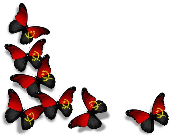 Angolan flag butterflies, isolated on white background — Stock Photo, Image