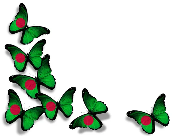 Bangladesh flag butterflies, isolated on white background — Stock Photo, Image