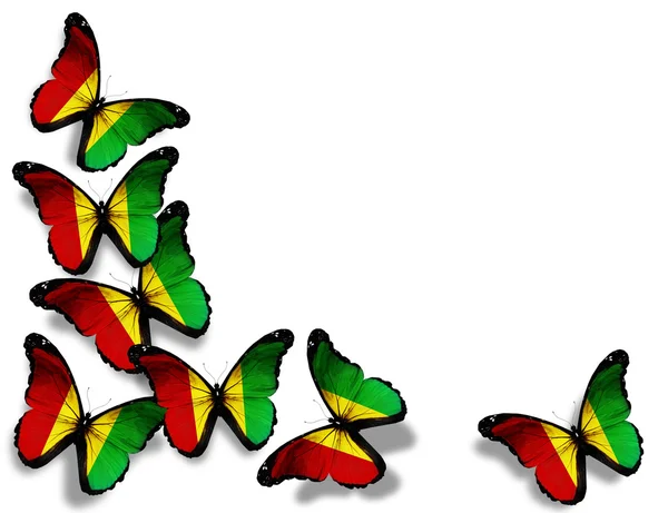 几内亚国旗的蝴蝶，在白色背景上孤立 — 图库照片