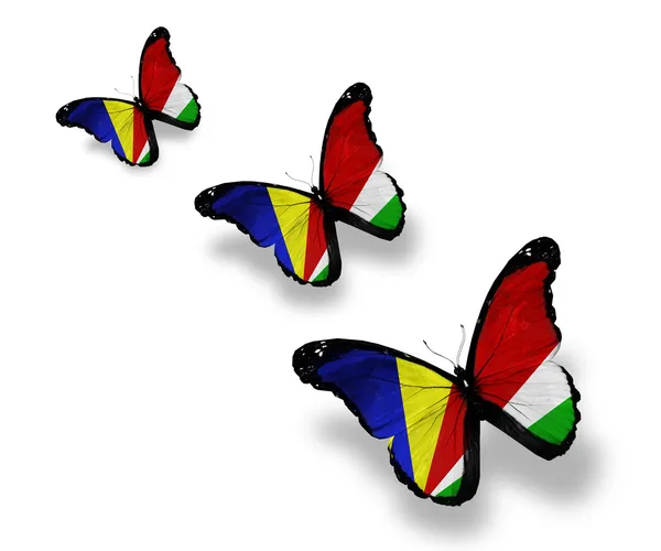 Drie seychellois vlag vlinders, geïsoleerd op wit — Stockfoto