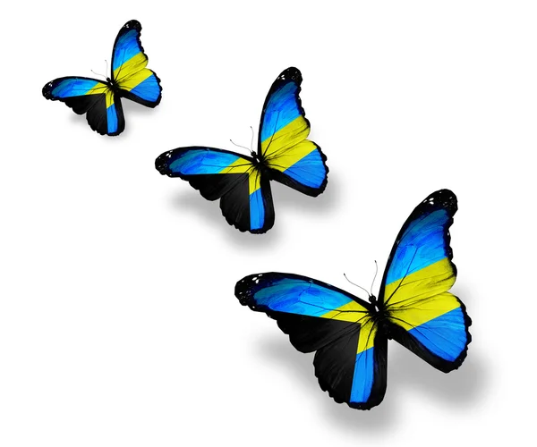 Tres mariposas de bandera bahameña, aisladas en blanco — Foto de Stock