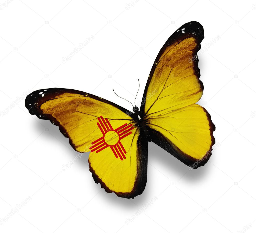 New Mexico flag butterfly, isolated on white