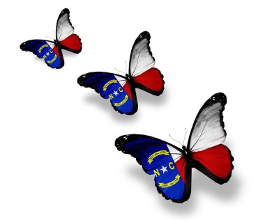 Three North Carolina flag butterflies, isolated on white clipart