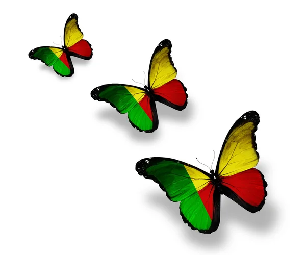 Drie benin vlag vlinders, geïsoleerd op wit — Stockfoto