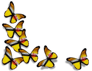 Brunei flag butterflies, isolated on white background clipart