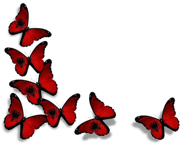 Arnavutluk bayrağı kelebekler, beyaz zemin üzerine izole — Stok fotoğraf