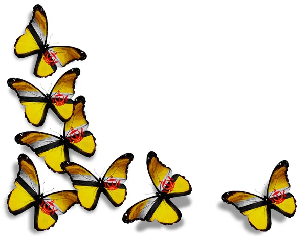 文莱国旗蝴蝶，在白色背景上孤立 — 图库照片