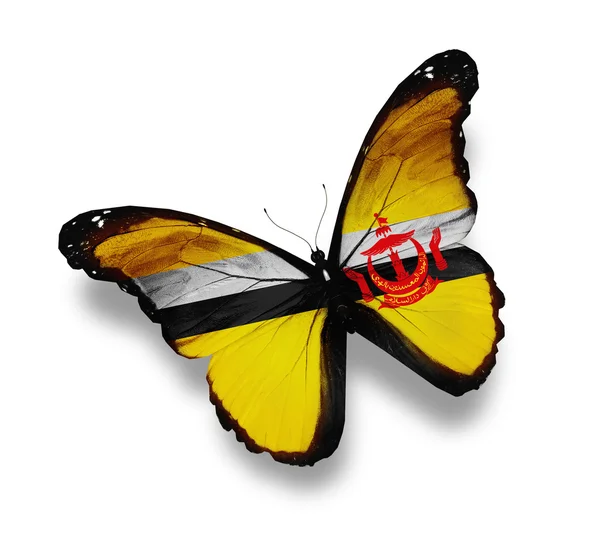 ブルネイの旗の蝶、白で隔離されます。 — ストック写真