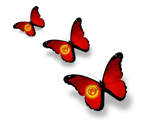 Drie Kirgizische vlag vlinders, geïsoleerd op wit — Stockfoto