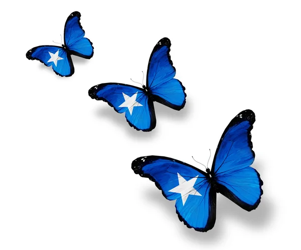 三个索马里国旗蝴蝶，孤立在白色 — 图库照片