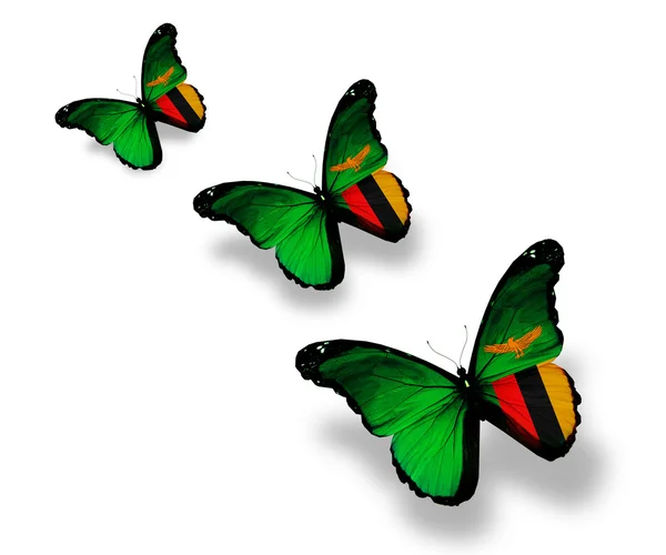 Trois papillons du drapeau de Zambie, isolés sur blanc — Photo