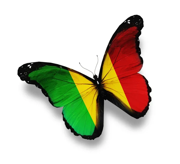 Mali flag butterfly, isolated on white — Stock Photo, Image