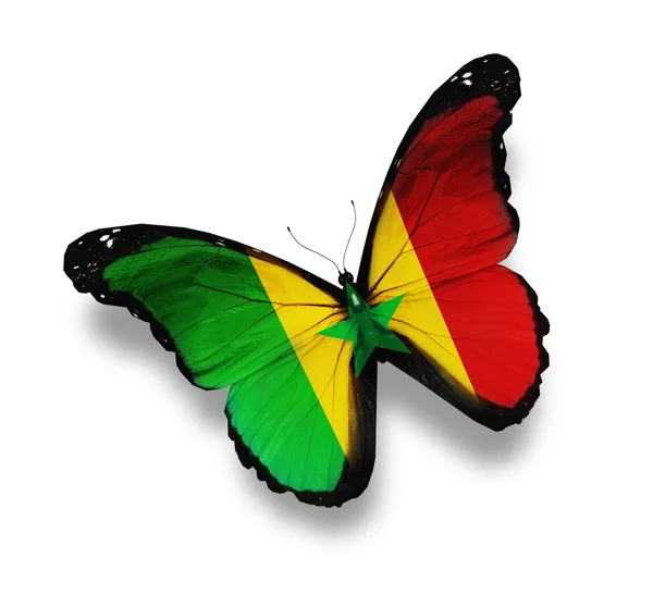 Senegals flagga fjäril, isolerad på vit — Stockfoto