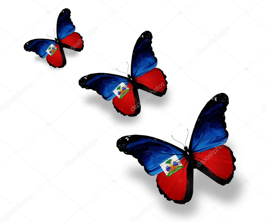 Three Haiti flag butterflies, isolated on white