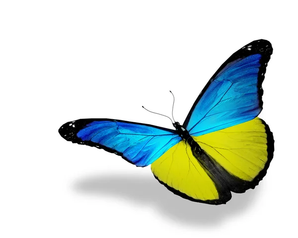 Ukrainische Flagge Schmetterling fliegen, isoliert auf weißem Hintergrund — Stockfoto