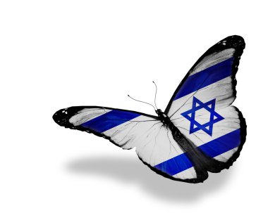 Israeli flag butterfly flying, isolated on white background clipart