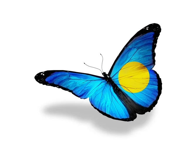 帕劳国旗蝴蝶飞，孤立在白色背景 — 图库照片