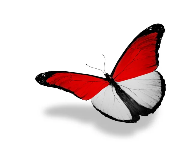 Bandeira monegasca borboleta voando, isolado em fundo branco — Fotografia de Stock