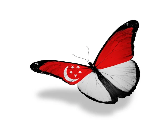 Флаг Сингапура бабочка летит, изолированные на белом фоне — стоковое фото