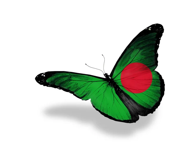 Bangladesh Flagge Schmetterling fliegen, isoliert auf weißem Hintergrund — Stockfoto