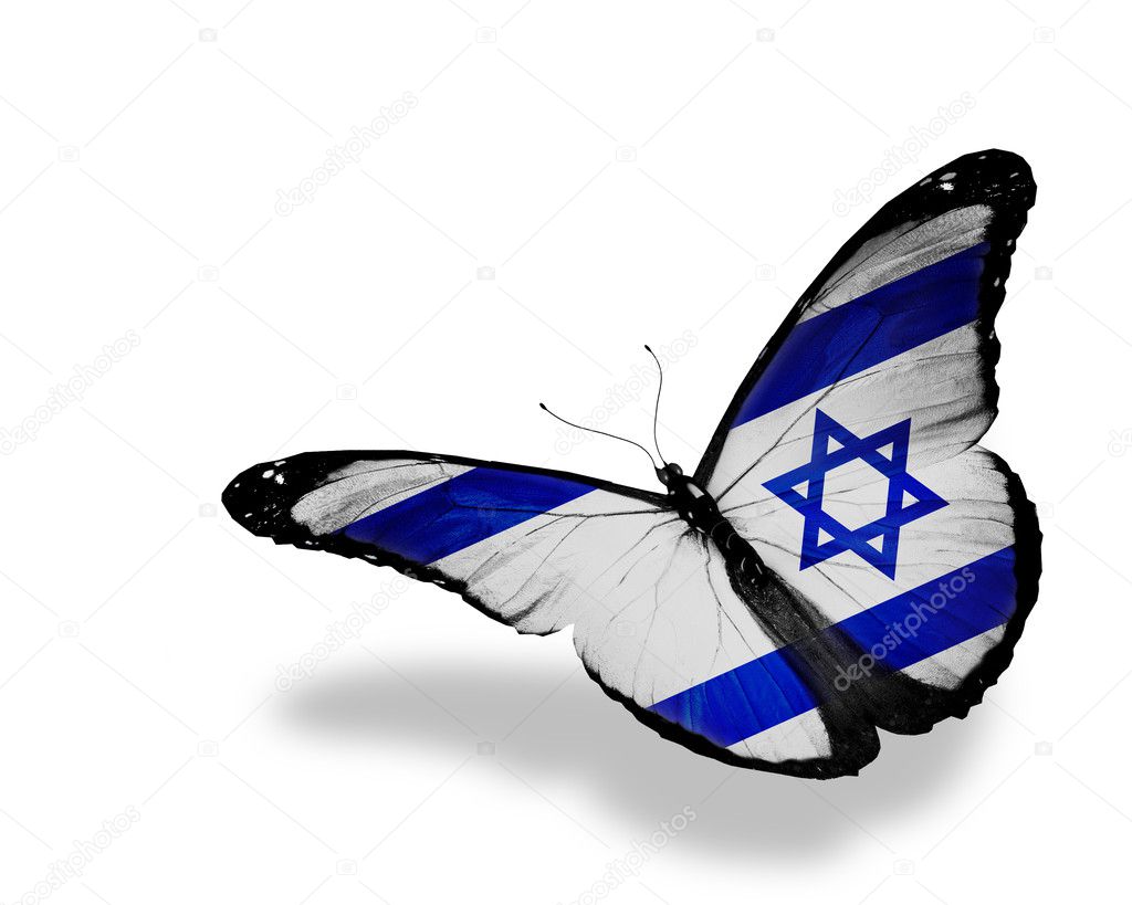 Israeli flag butterfly flying, isolated on white background