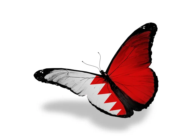 Bahraini flag butterfly flying, isolated on white background — Stock Photo, Image