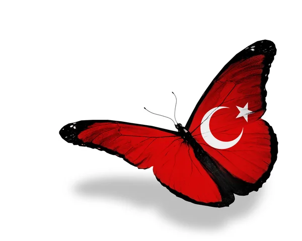 Flaga turecka motyl latający na białym tle na białym tle — Zdjęcie stockowe