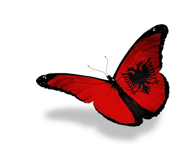 Bandera albanesa mariposa volando, aislada sobre fondo blanco — Foto de Stock