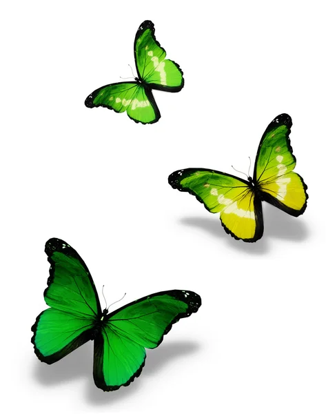 Tři zelené motýly, izolované na bílém — Stock fotografie