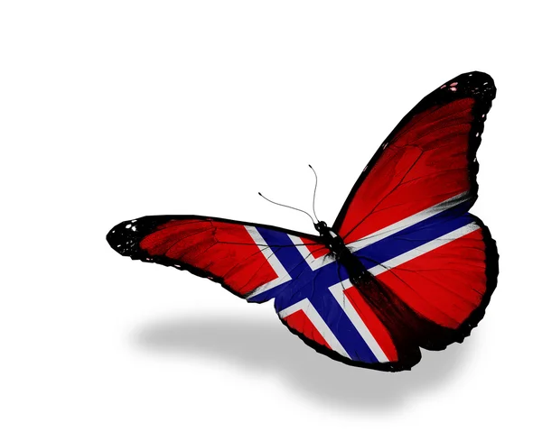 Schmetterling unter norwegischer Flagge, isoliert auf weißem Hintergrund — Stockfoto