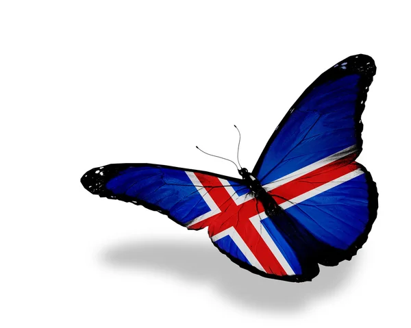 Flaga Islandii motyl latający na białym tle na białym tle — Zdjęcie stockowe