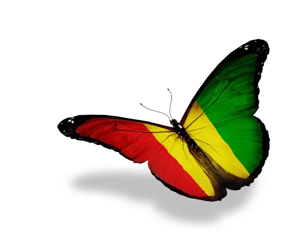 Флаг Гвинеи бабочка летит, изолированные на белом фоне — стоковое фото