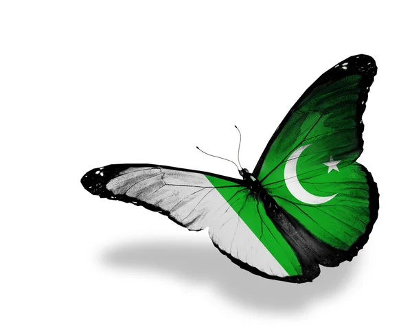 Πεταλούδα πακιστανική σημαία, που φέρουν, απομονωμένα σε λευκό φόντο — Φωτογραφία Αρχείου