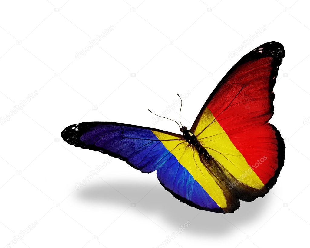 Romanian flag butterfly flying, isolated on white background
