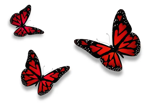 Три червоні метелики з серцями на крилах — стокове фото