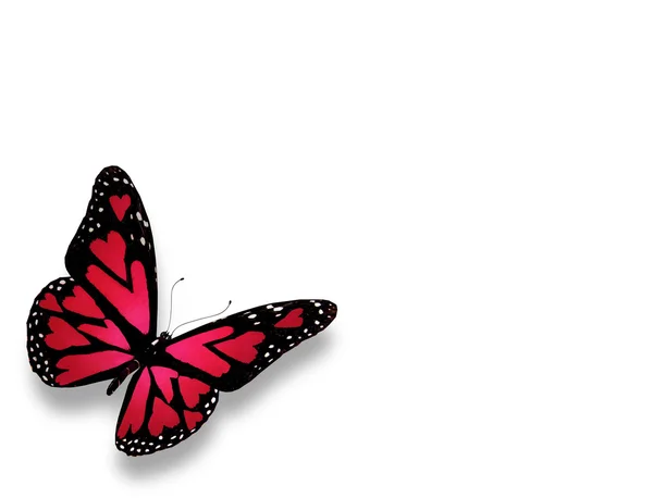 Ροζ πεταλούδα με καρδιές με φτερά — Φωτογραφία Αρχείου