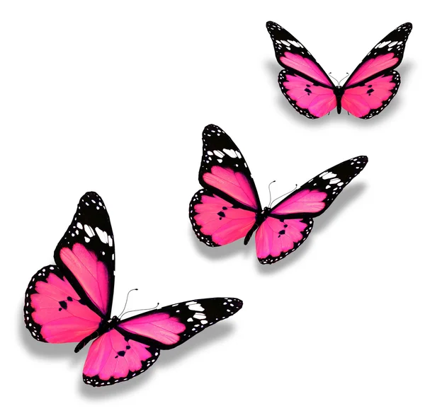 Drie vlinders, geïsoleerd op wit roze — Stockfoto